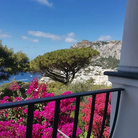 Marvelous Sea View
