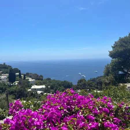 Marvelous - Sea View